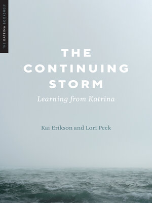 cover image of The Continuing Storm